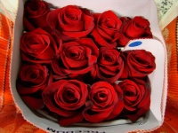 r__zsa_freedom_50bde3a59a7b2