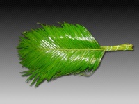 robellini_50be1b056f4b5