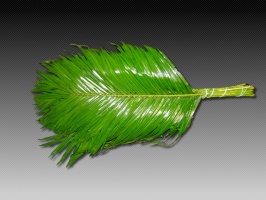 robellini_50be1b056f4b5